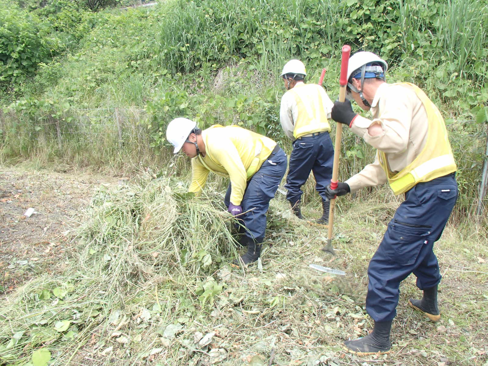 歩道清掃　作業