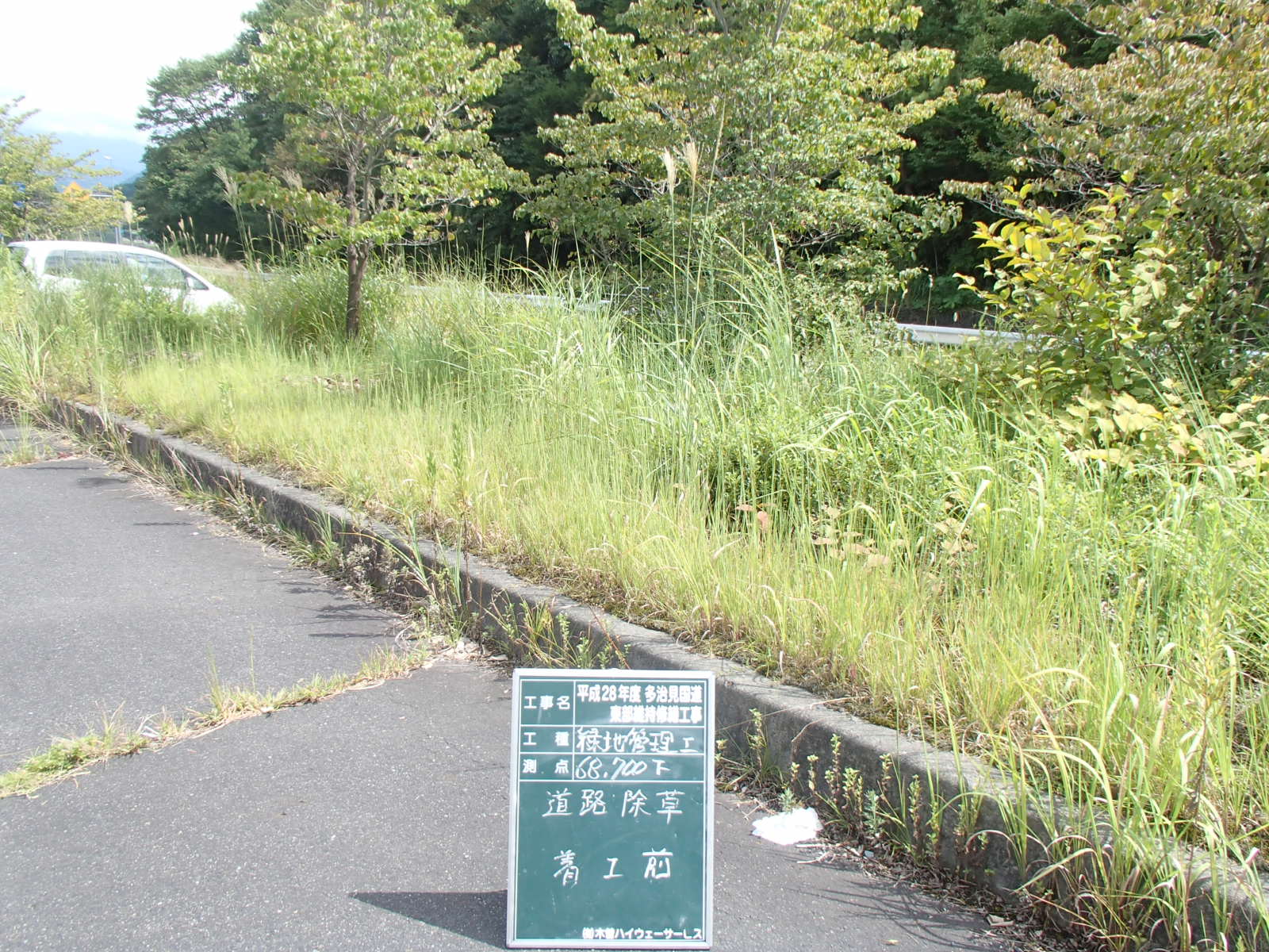 除草作業　着工前