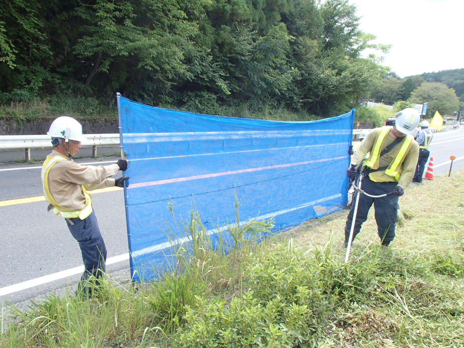 除草作業　作業