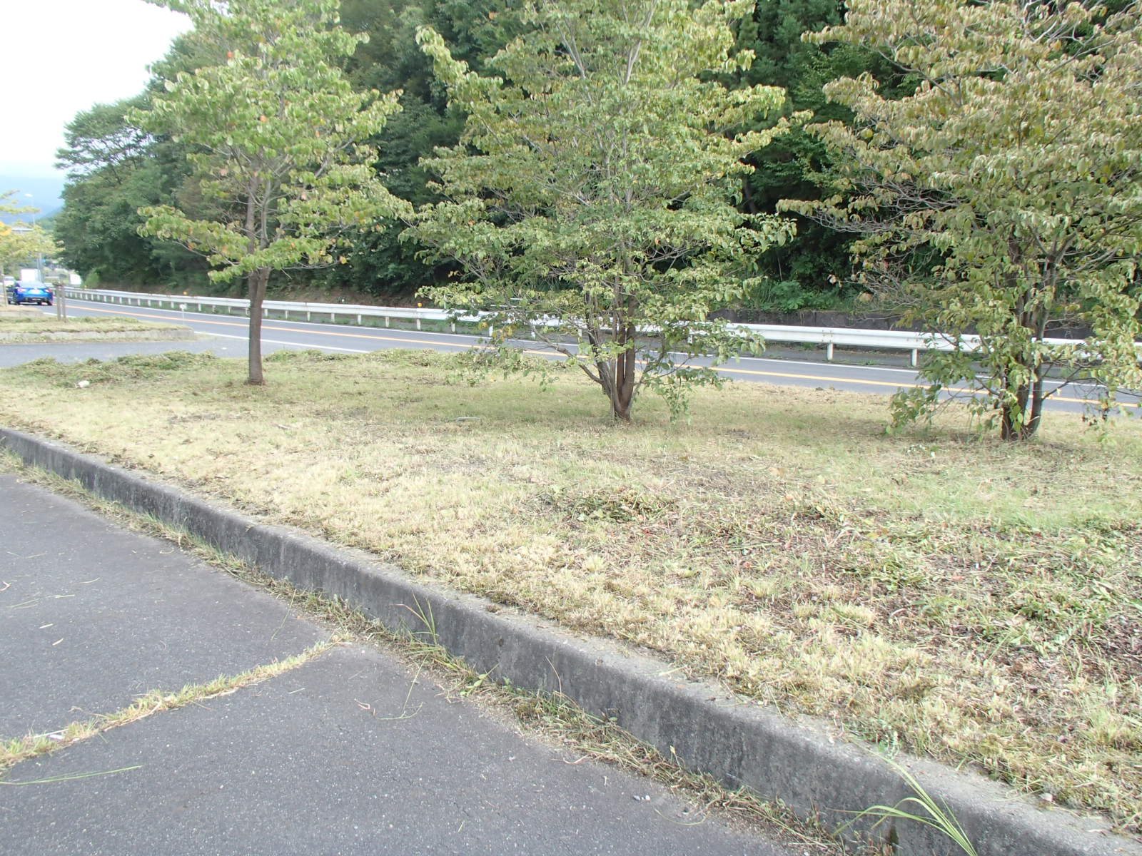 除草作業　着工後